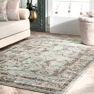 5x8 Transitional Brown Area Rugs for Living Room