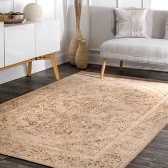 Tan Rococo Antiquated rug