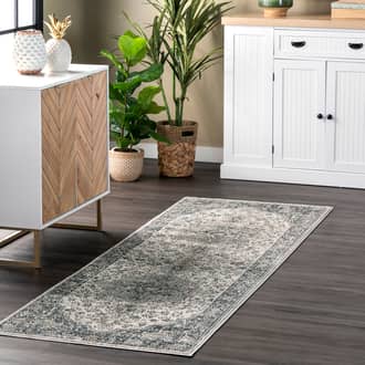 Gray Caprona Bordered Medallion rug