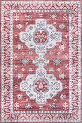4' x 6' Eboni Traditional Washable Rug primary image