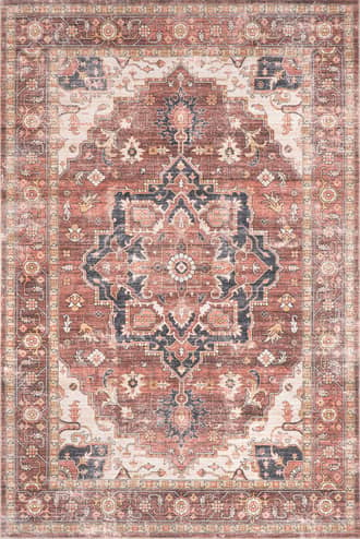 4' x 6' Dionne Washable Vintage Faded Rug primary image