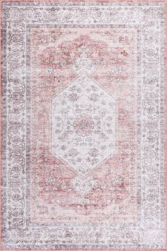 4' x 6' Nyomi Spill Proof Washable Rug primary image