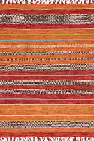Tribal Stripes Fringe Tassel Rug primary image